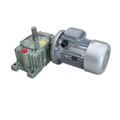 WPO Series Worm Motor Reducer 220v WPO40 Worm Reduction Gearbox for Textile Machinery